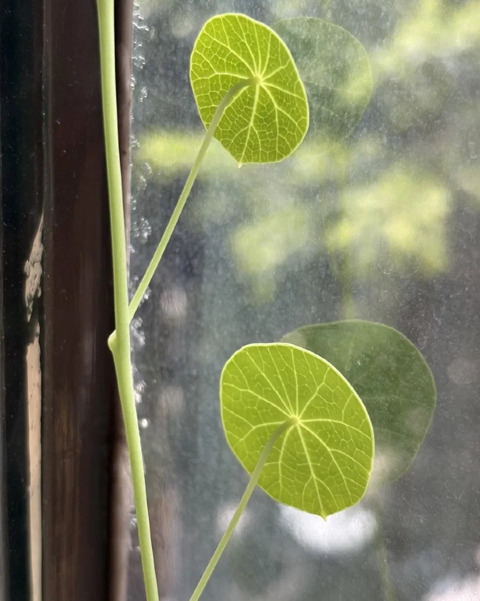 向怡植感生活 #01 #02